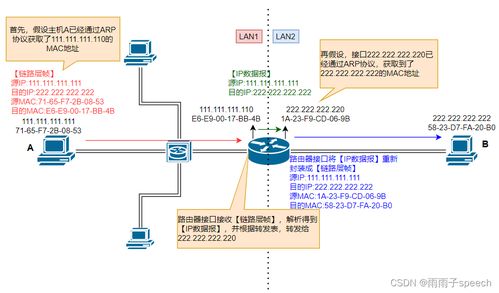 计算机网络学习10 ARP协议详解及其在技术开发中的应用
